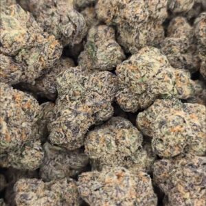 MOCHI WATERMELON  EXOTIC INDOORS | SUPER CANDY NOSE 100% WHITE ASH  P 1400