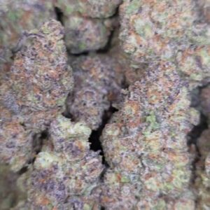 FRUITY PEBBLES  TOPSHELF INDOORS | CANDY NOSE  775