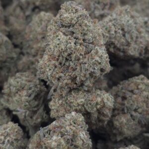 OREOZ X SKITTLES  INDOORS | CANDY NOSE