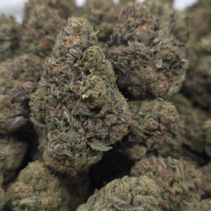 BLACK CHERRY GELATO  INDOORS | CANDY NOSE