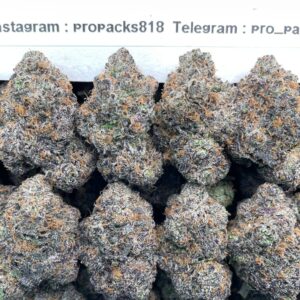 Black Cherry GusherSs 🍒 #V510A 🍇 (indoor) Nose: 9/10