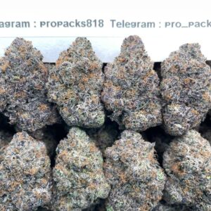 Black Lime Reserve x Golden Lemons 🍋 #H362A 🏆 (indoor)