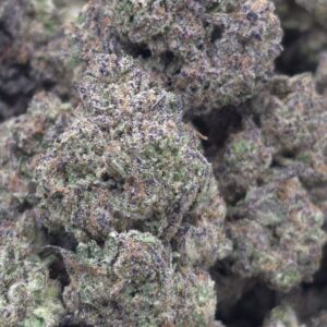 BLACK RUNTZ  TOPSHELF INDOORS | CANDY