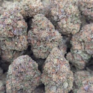 BLACK TRUFFLES  TOPSHELF INDOORS | GASSY CANDY  800