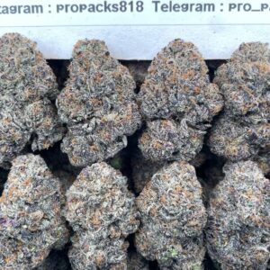 Blue Raspberry TruffleZz 🍓 #V504B 🫐 (indoor)