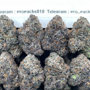 Candy Yogurt 🍬 #V36B 🍦 (indoor)