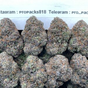 Frosted Gelato x Watermelon Zkittlez 🍉 #V558A 🍬 (indoor)