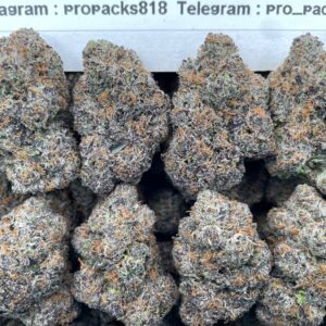 Frozen Fuel 🥶 #H61A ⛽️ (indoor)