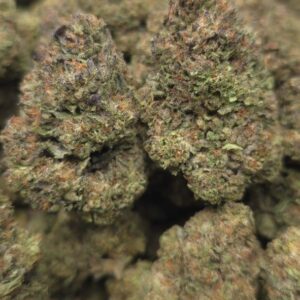 GRAPE JELLY  INDOORS | FRUITY CANDY