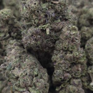 GRAPE SODA  TOPSHELF INDOORS