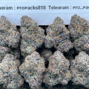 Gumbo PopZz ⚡️ #P455C ✨ (indoor)