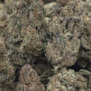 JEALOUSY MINTZ  INDOORS | GASSY CANDY