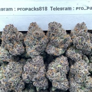 Jolly Rancher JammerZz 🍬 #P433B 🔷 (indoor)(organic)