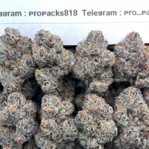 CAPTAIN CRUNCH  AAA DEPS | CANDY NOSE