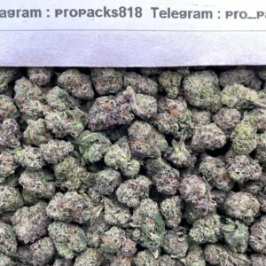 Mini Frosty Cream MochiZz ❄️ #V574C 🍡 (indoor)(mid-sized)