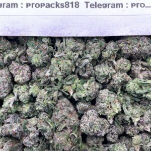 GLITTER BOMB SMALLS  INDOORS | FRUITY CANDY