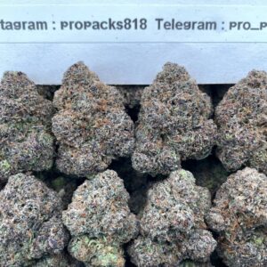 Mochi Space Candy 🚀 #P497C 🪐 (indoor)