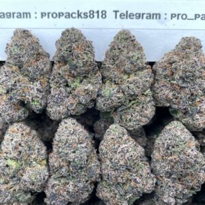 Mochi Space Candy 🚀 #P497C 🪐 (indoor)