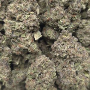 PLATINUM BUBBAS  INDOORS | GASSY CANDY