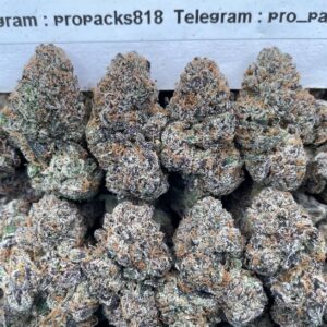 Blackberry GelatoZz 🍬 #P498B 🔷 (indoor)(organic)