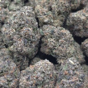 SUNSET SHERBERT  INDOORS | FRUITY CANDY