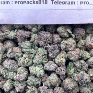 Purple Ghost Candy 👻 #H56B 🍬 (indoor)(mid-sized)