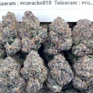 Purple Jolly Rancher 🍭 #V534A 💠 (indoor)(organic)