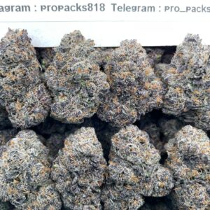 Sour Bubble Gum x Purple Punch 🍬 #P96A 💥 (indoor)