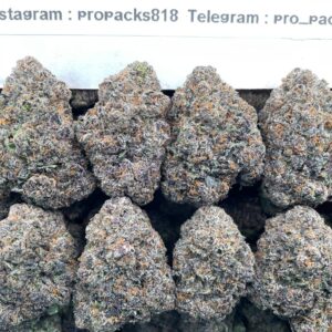 Sour Forbidden MochiZz 😮‍💨 #V567A 🤫 (indoor)