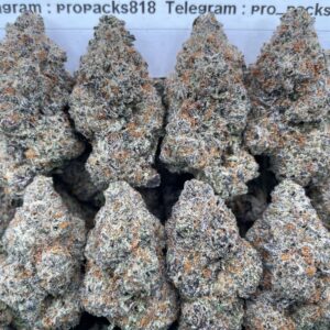 Sticky Ricky 💥 #V563C ⚡️ (indoor)