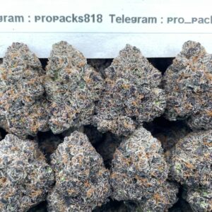 SUPREME ADL X ADL No12  ⬜️ #V530A 🟥 (indoor)