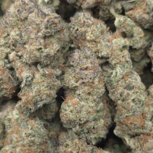 TROPICAL CHERRYS MEDIUMS  EXOTIC INDOORS | SUPER CANDY NOSE